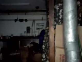 virgovixengal