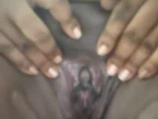 virgovixengal