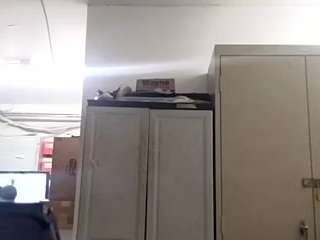 virgovixengal