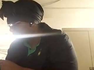 virgovixengal