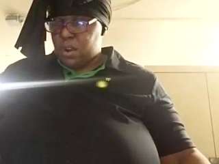 virgovixengal