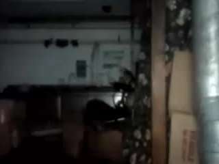 VIRGO live cam preview