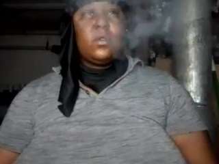 virgovixengal