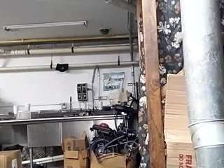 virgovixengal