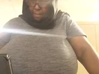 virgovixengal