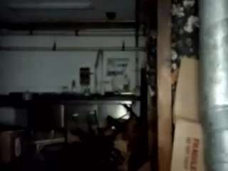 virgovixengal