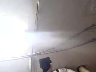 virgovixengal