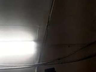 virgovixengal