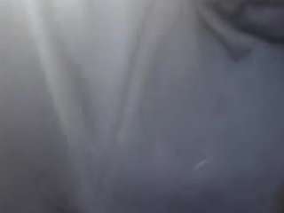 virgovixengal