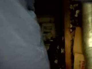 virgovixengal