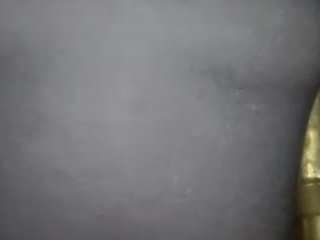 virgovixengal