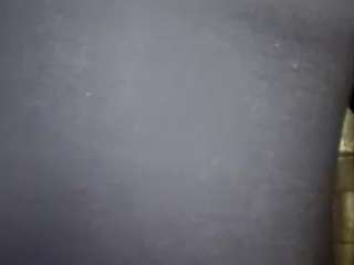 virgovixengal