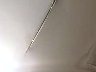 virgovixengal