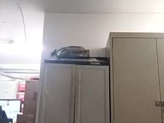 virgovixengal