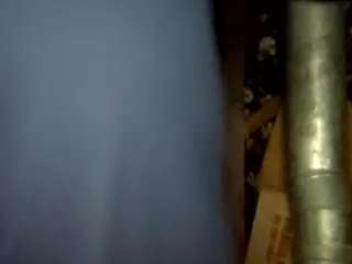 virgovixengal