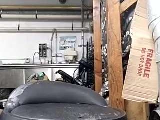 virgovixengal
