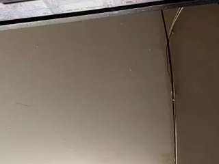 virgovixengal