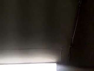 virgovixengal
