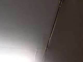 virgovixengal