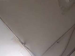 virgovixengal
