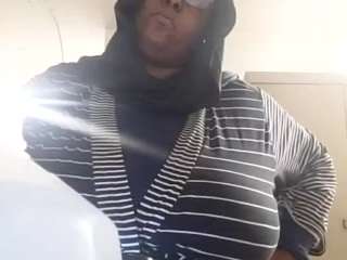 virgovixengal