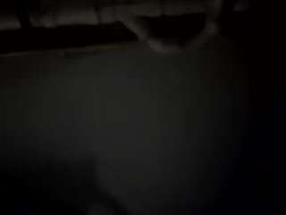 virgovixengal