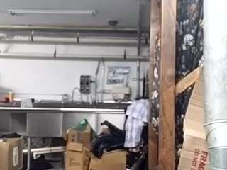 virgovixengal