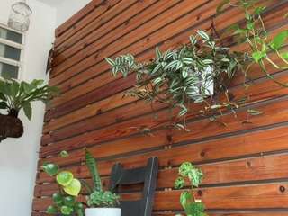 niaharris Live Webcam on CamSoda