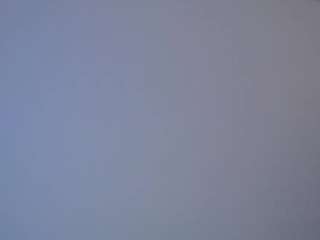 cute-sofia Live Webcam on CamSoda