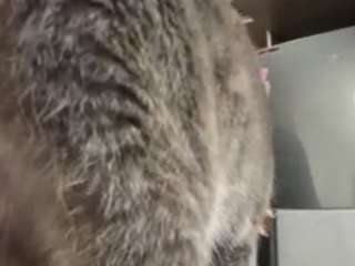 nataliepeterson webcam