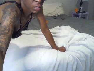 terrieluvkelseyjo webcam