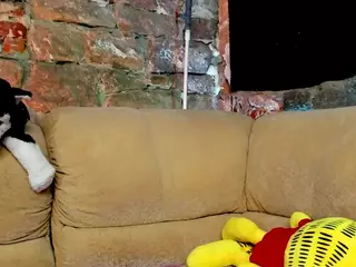BoltPoint's Live Sex Cam Show