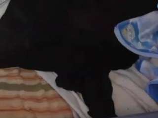 AntiSocialButterf1y
