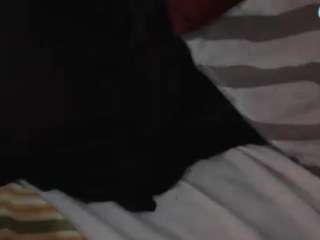 AntiSocialButterf1y