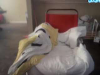 blessedpapi732 webcam model