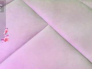 miss-quipitoss