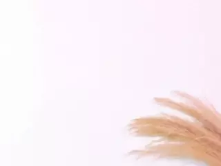 Stephany Galeano's Live Sex Cam Show
