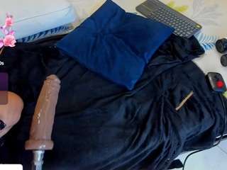  sabrina-shark chat room