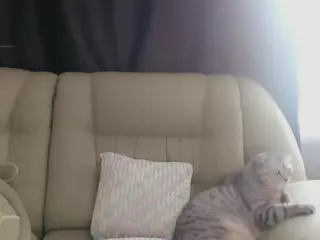 missinfinityloveli's Live Sex Cam Show