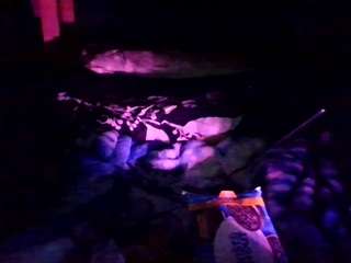 secretsexpert Live Webcam on {site_name}