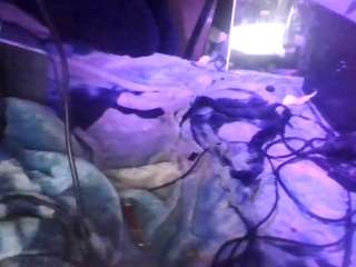 secretsexpert webcam