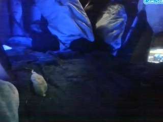 secretsexpert webcam