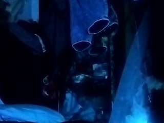 secretsexpert webcam