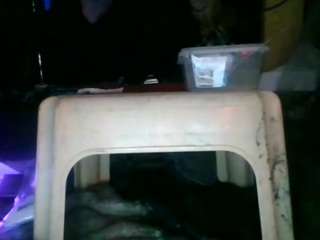 secretsexpert webcam