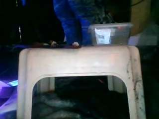 secretsexpert's CamSoda show and profile