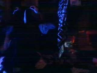 secretsexpert webcam