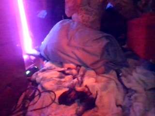 secretsexpert's CamSoda show and profile