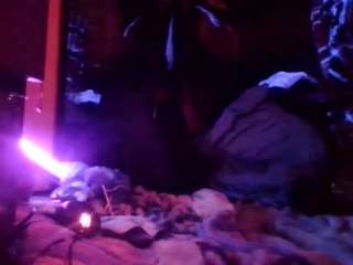 secretsexpert webcam