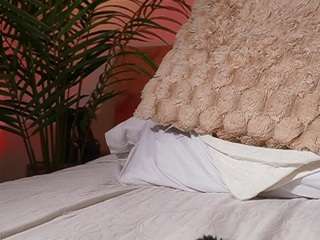 alana-haze live cam profile