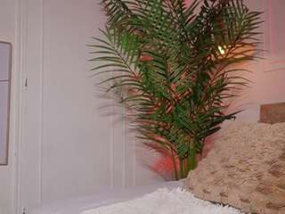 Live webcam model alana-haze on Soda Cams